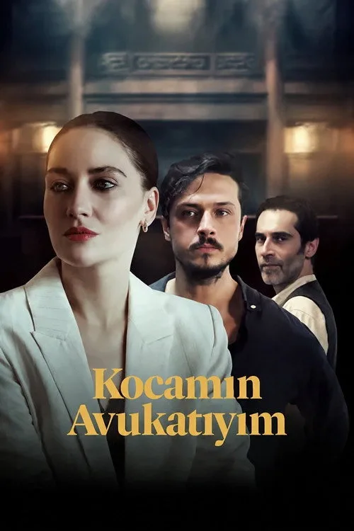 Kocamın Avukatıyım afişi