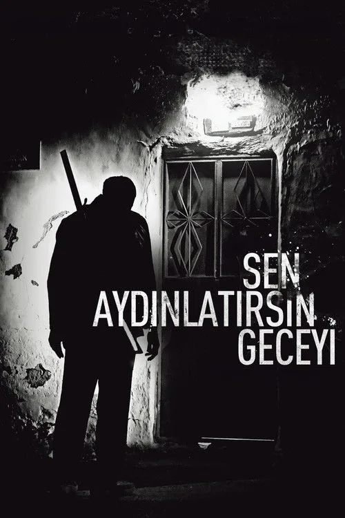 Sen Aydınlatırsın Geceyi afişi