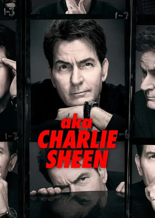 Namıdiğer Charlie Sheen afişi